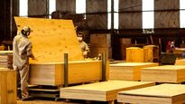 Forestadora Tapebicuá emplea en forma directa a más de 500 personas.&nbsp;