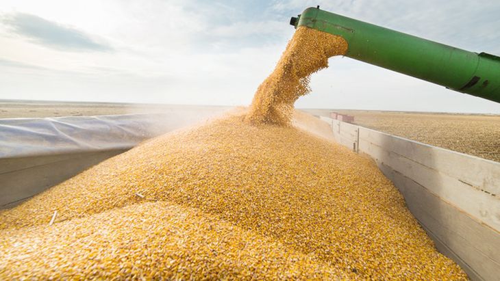 La abundancia de lluvia enciende alarmas por la pérdida de calidad en grano y las dificultades viales.