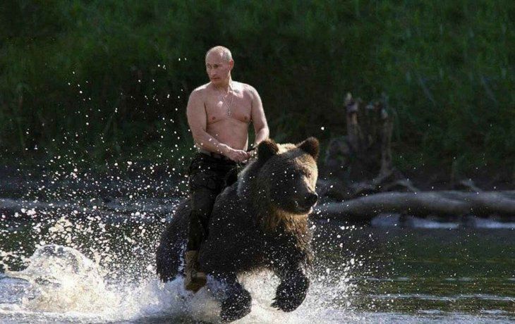 nelson castro aseguro que el oso del meme de putin estaba amaestrado