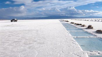 cia. introductora le saca mas que agua a las piedras