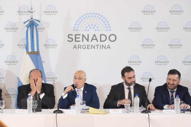 Guillermo Francos y senadores libertarios durante uno de los debates por la ley Bases.