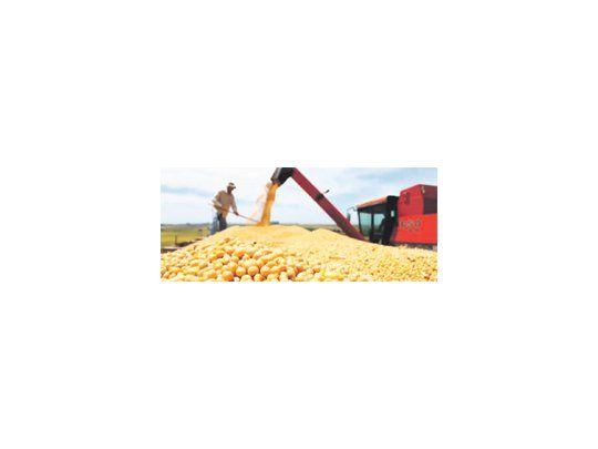 La situación es muy parecida al ciclo 2008/09 en la relación mercadería sin precio/producción, cuando el 53% de la cosecha de soja estaba sin valor, según la Bolsa de Comercio de Rosario.