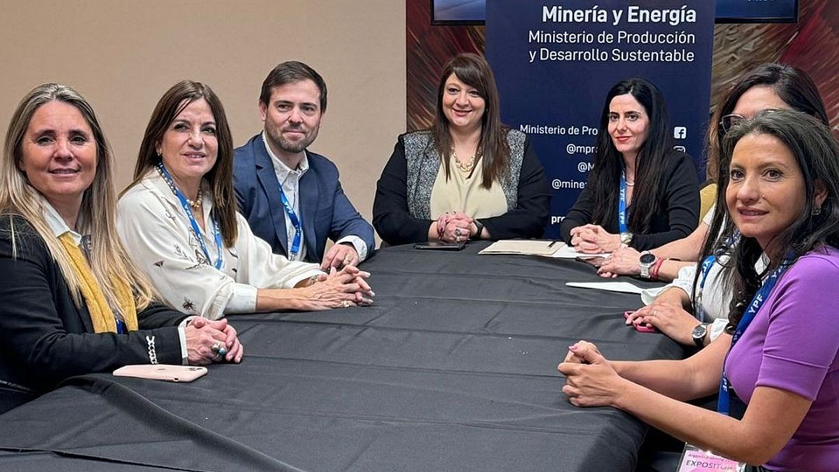 COFEMIN and WIM Argentina reinforce inclusion policies in mining