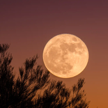 Última Superluna del año 2025 Última Superluna del año 2025