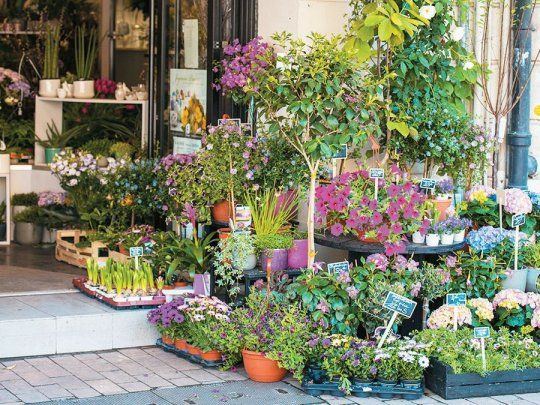 En la Ciudad de Buenos Aires se pueden encontrar una gran cantidad de puestos de flores.