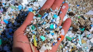 Los microplásticos son uno de los mayores desafíos que afronta el ambientalismo.