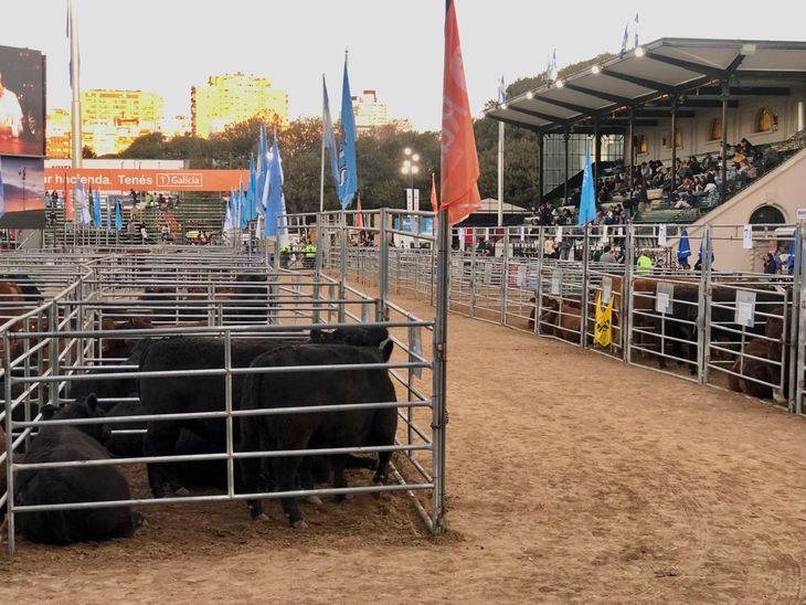 Remates en plena Pista Central de Palermo Remates en plena Pista Central de Palermo
