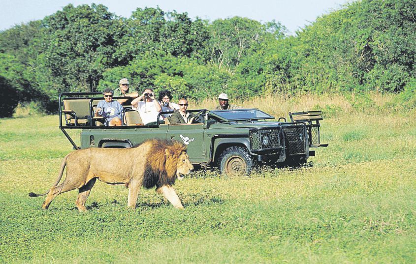 Sudáfrica: una aventura por la ruta jardín (foto 1)