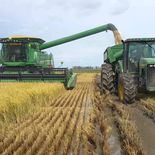 Estiman pérdidas por más de 5 millones de dólares tras el temporal registrado en Rocha. Estiman pérdidas por más de 5 millones de dólares tras el temporal registrado en Rocha.