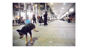ámbito.com | SIN PIEDAD: La argentinidad, al palo en Retiro