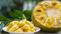 La fruta gigante de México que pocos conocen: ¿A qué sabe?