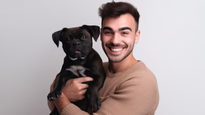 Harvard revela los 3 secretos para evitar que tu perro muerda: ¡Un must para todos los dueños!