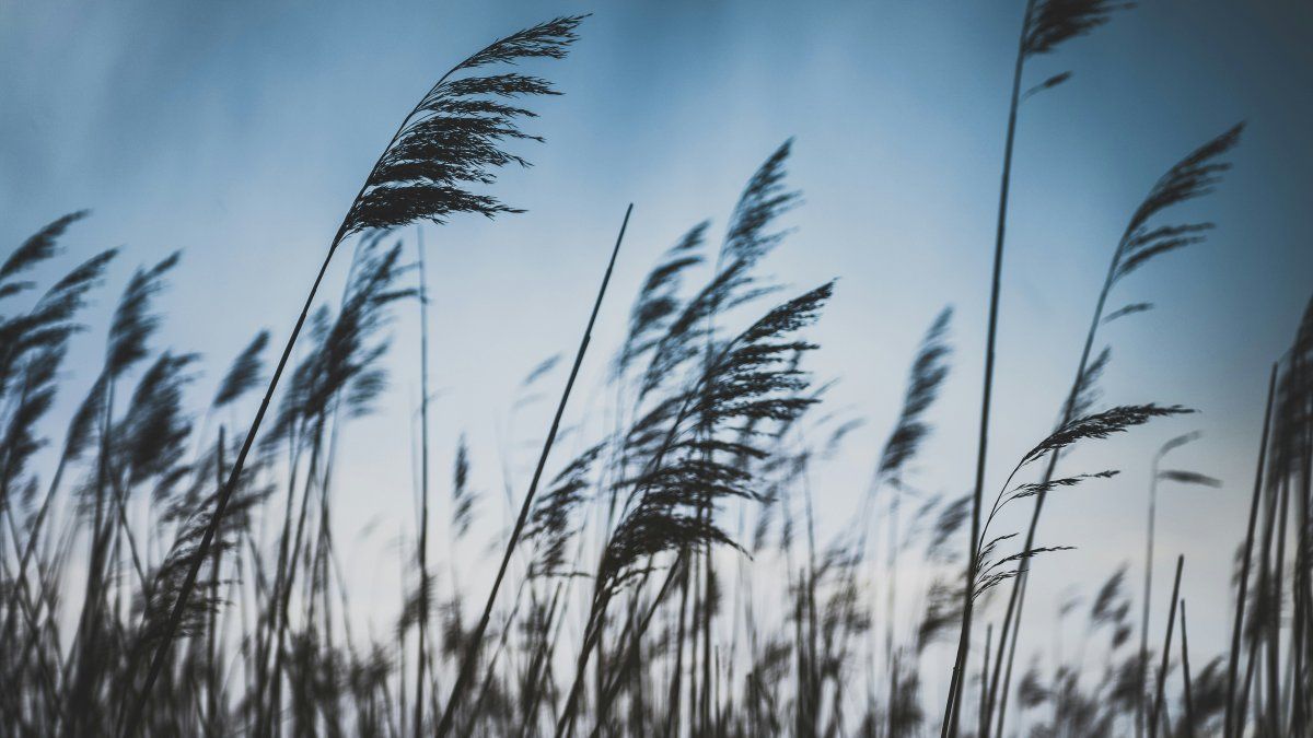 Which provinces are affected and how will the weather continue in the AMBA?