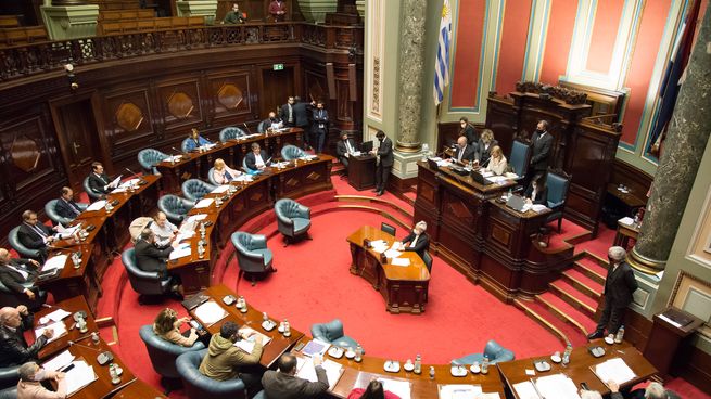 El Senado del Uruguay aprobó la rebaja del IRPF y IASS y las modificaciones del IRAE ficto.