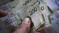billetes dinero banco mexico