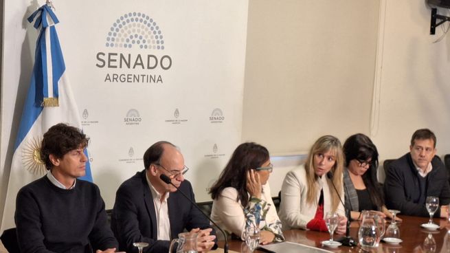 Senadores del peronismo y el radicalismo protagonizaron la conferencia de prensa.