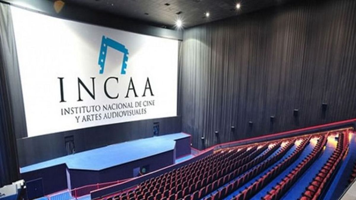 From INCAA they asked to continue the Development Fund “in defense of our cultural sovereignty”
