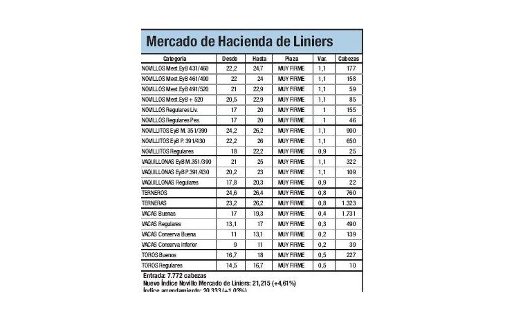 Índice Novillo subió un 4,6% en Liniers