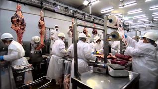 Los precios de las exportaciones industriales retrocedieron, pese al impulso de la carne. Los precios de las exportaciones industriales retrocedieron, pese al impulso de la carne.