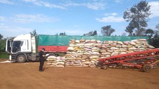 Un jefe de Gendarmería y empresarios de Misiones fueron detenidos por contrabando de soja