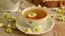 Among the most recommended options for its beneficial properties is chamomile tea, known for its ability to calm the digestive system. Among the most recommended options for its beneficial properties is chamomile tea, known for its ability to calm the digestive system.