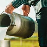 El SENASA prohibió el uso y la comercialización de productos veterinarios con Somatotropina Bovina recombinante (rBST) en todo el país. El SENASA prohibió el uso y la comercialización de productos veterinarios con Somatotropina Bovina recombinante (rBST) en todo el país.