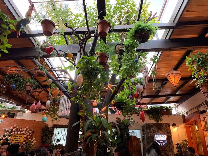 OCHO30 Cholula OCHO30 Cholula