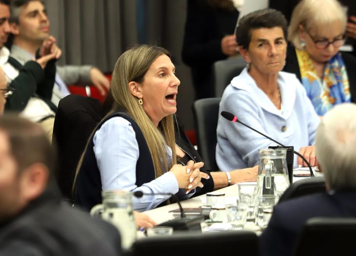 Silvia Lospennato, diputada del PRO, autora de uno de los proyectos.