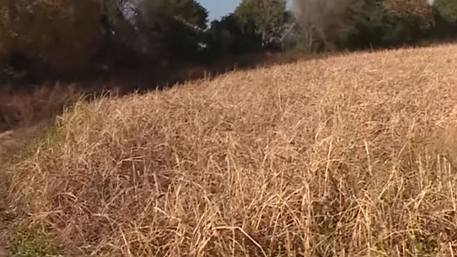 C5N recorrió el lugar este domingo, donde hallaron el cuerpo sin vida de Agostina Vega.