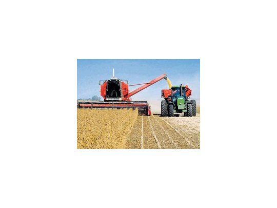 La producción de oleaginosa llegaría a 37,3 millones de toneladas, según datos de la Bolsa de Comercio de Rosario.