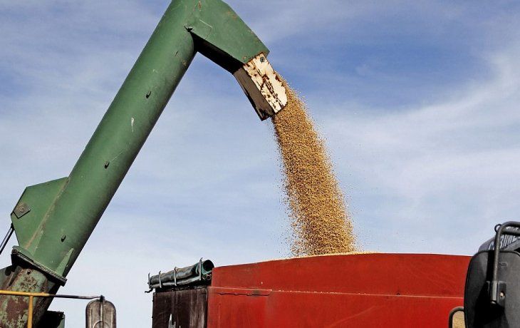 ámbito.com | campo soja.jpg