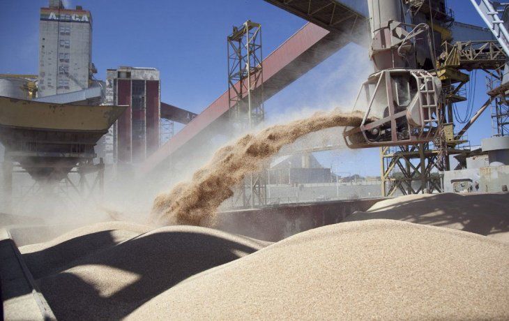 fusion bunge-viterra: se acentua concentracion en exportaciones locales del agro
