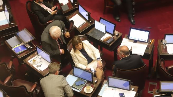 Patricia Bullrich, presidenta del bloque libertario, fue la última oradora del debate.