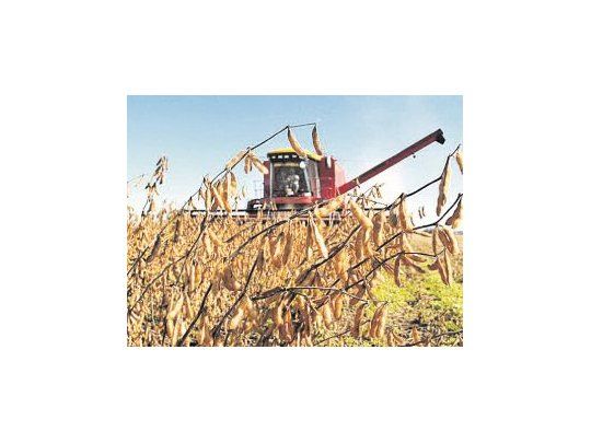 en campaña. El presidente Mauricio Macri prometió concretar otra baja del 5% que se tendría que concretar en este ciclo para ubicarlas en el 25%.