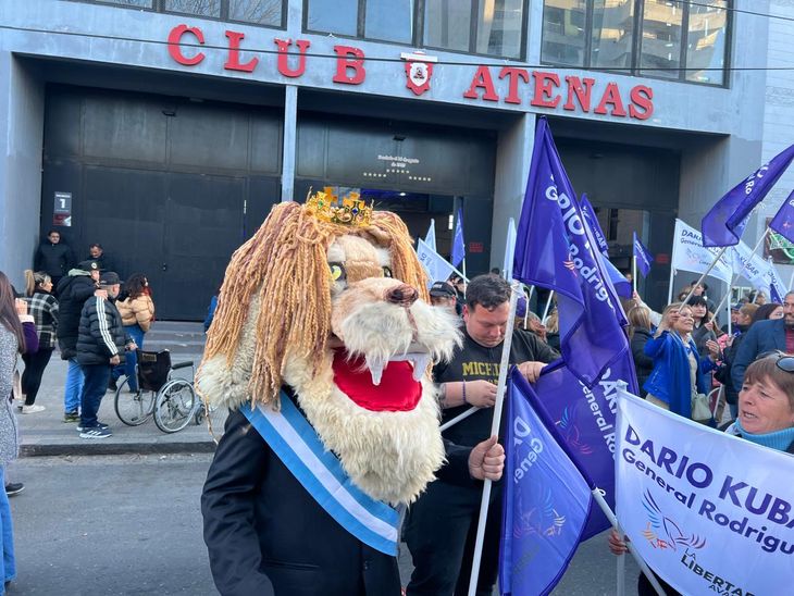 Disfraces de leones y banderas violetas en el Club Atenas de La Plata.