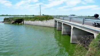 Emiten un alerta por riesgo de intoxicación con cianobacterias en una laguna bonaerense.
