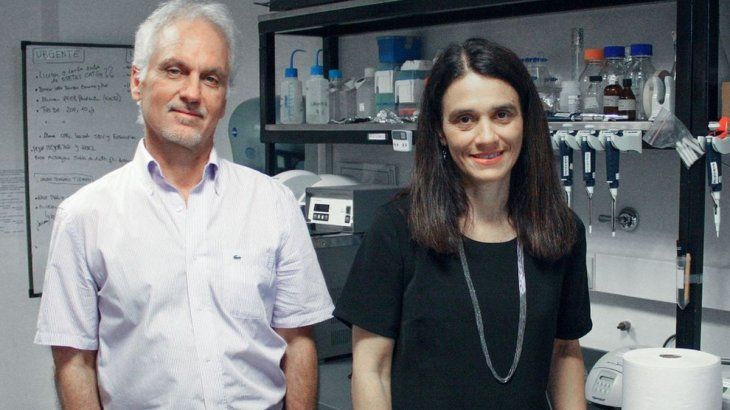 Osvaldo Podhajcer y Andrea Llera, investigadores del CONICET en el Instituto Leloir.