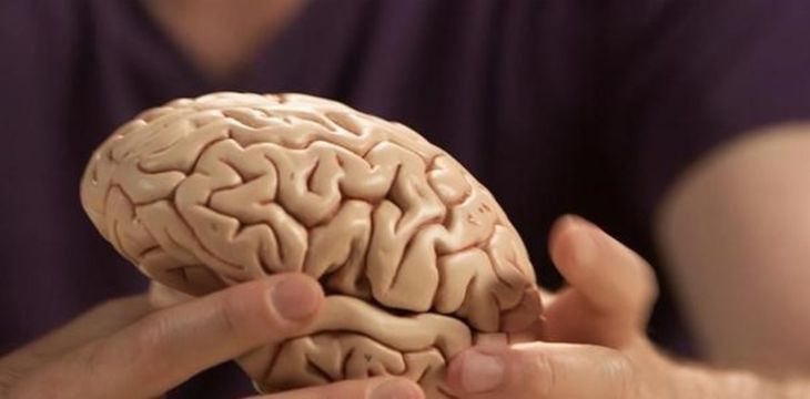 Sleeping between 6 and 8 hours a day allows the brain to consolidate memories and improve cognitive functions. Sleeping between 6 and 8 hours a day allows the brain to consolidate memories and improve cognitive functions.