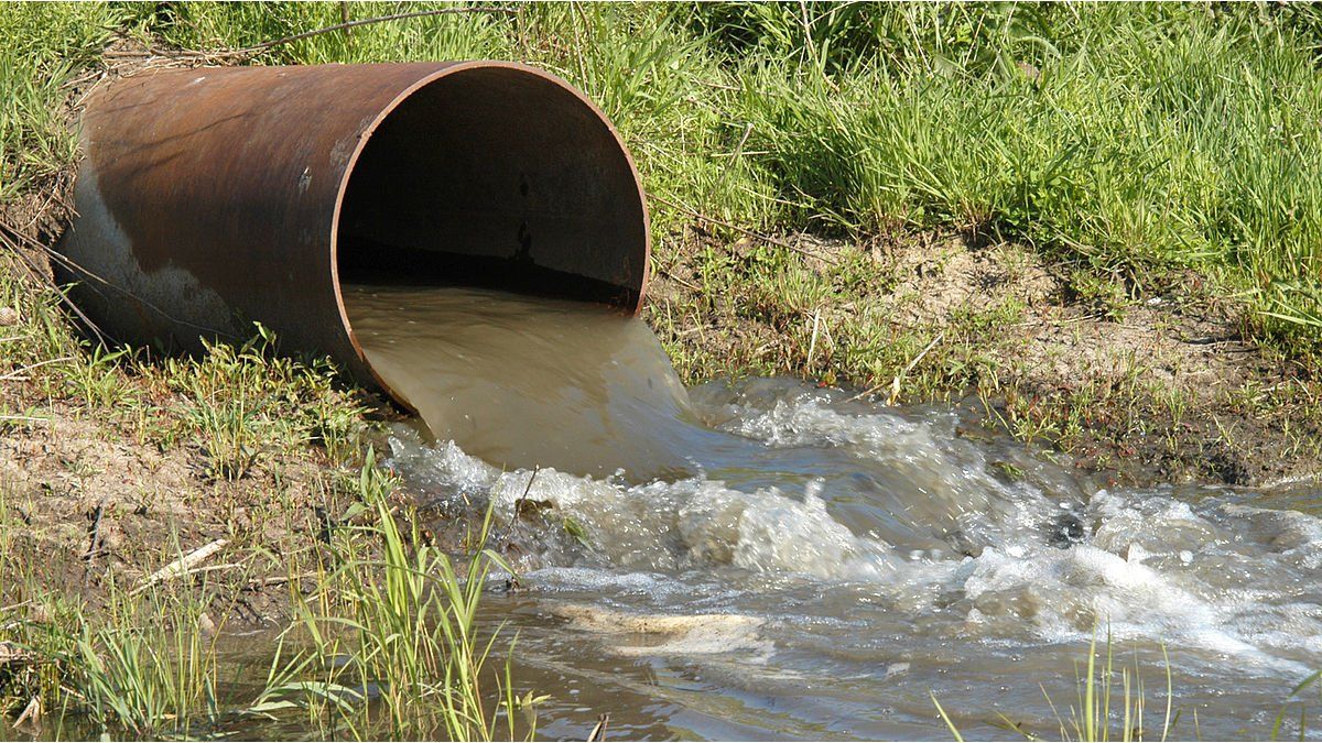 The Ministry of the Environment urges Deputies to approve the law on environmental crimes
