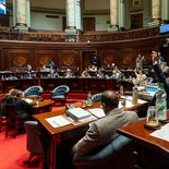 El Senado aprobó definitivamente la Rendición de Cuentas.