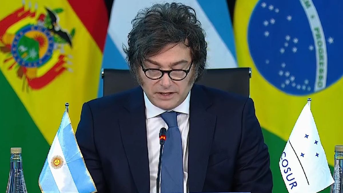 Javier Milei, a socios del Mercosur: Emprenderemos el camino de la libertad y lo haremos acompañados o solos