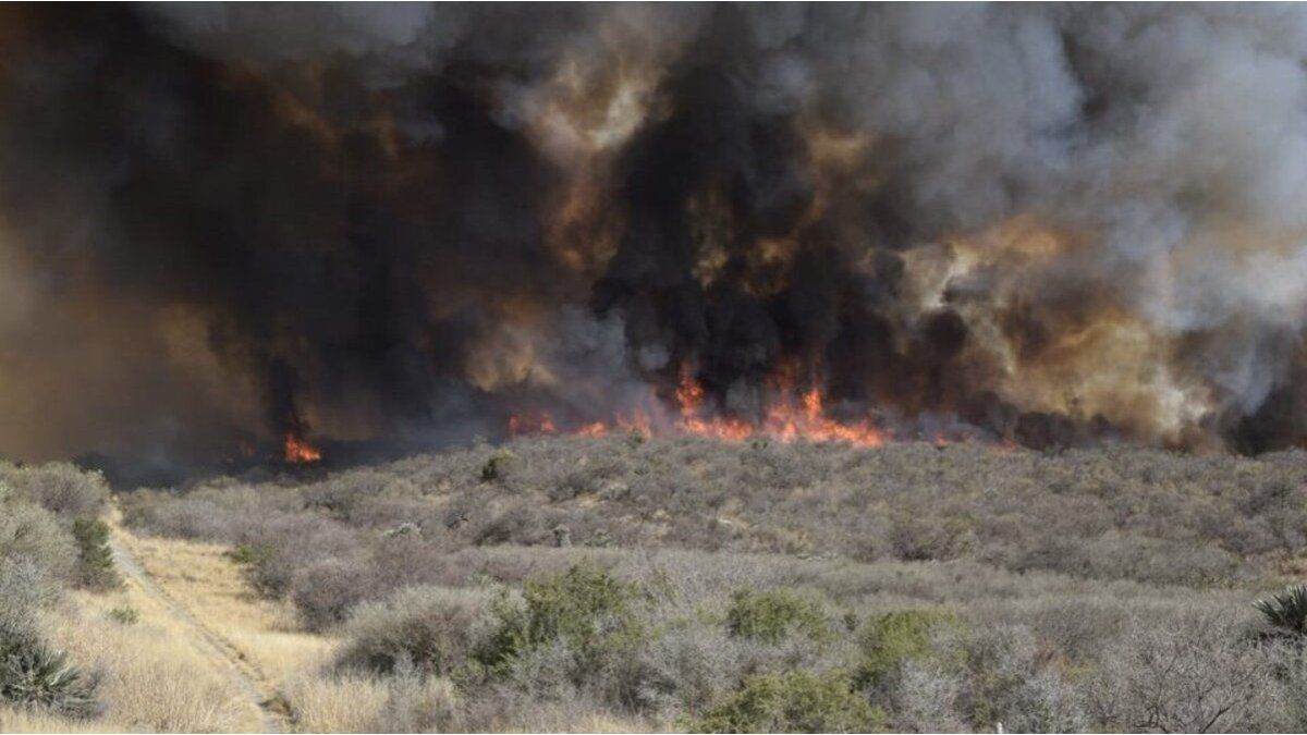 Fires in Córdoba: a man was arrested for trying to burn grasslands with a gasoline can