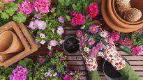 Este consejo es buenisimo para cuidar tu jardín por poca plata.