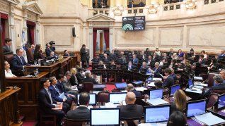 El Senado recibirá a los nuevos legisladores que realizarán la jura antes de asumir su cargo el 10 de diciembre.