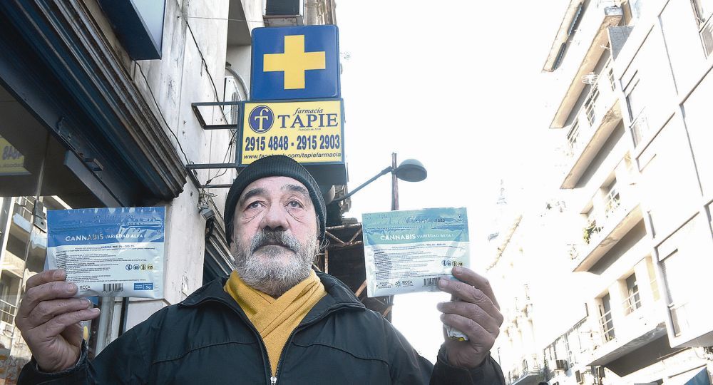 Los usuarios de marihuana inscriptos desbordaron las farmacias en Montevideo (foto 1)
