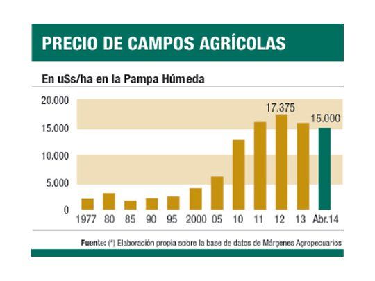 Para inversores: precio de campos ya tocó piso