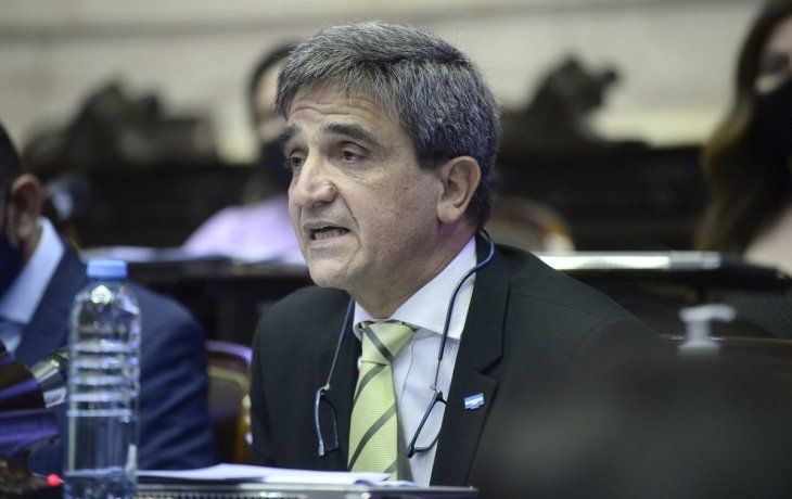 Diputados: Vizzotti defendió plan de vacunación contra la pandemia