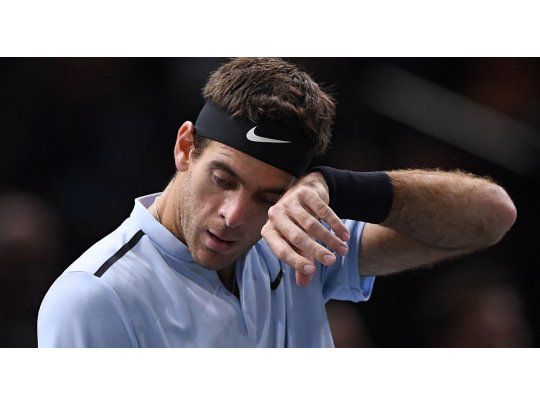 Del Potro cayó ante Isner.