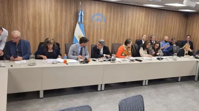 La Comisión de Acción Social y Salud Pública que preside Pablo Yedlin logró consensuar un dictamen para reclamar información sobre las muertes por fentanilo.
