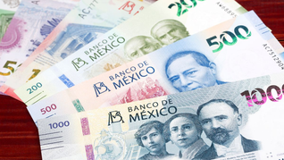 Nuevo pago extra para trabajadores estatales mexicanos. Nuevo pago extra para trabajadores estatales mexicanos.
